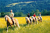 Reiten