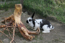 image17