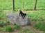 image23