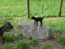image24
