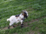 image03